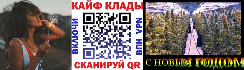 NBOMe Бийск