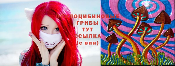трава Нефтегорск