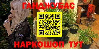 сатива Балахна