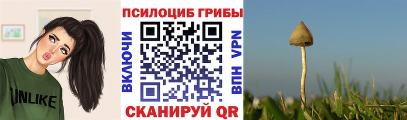 darknet формула  Бийск  Галлюциногенные грибы Psilocybe 