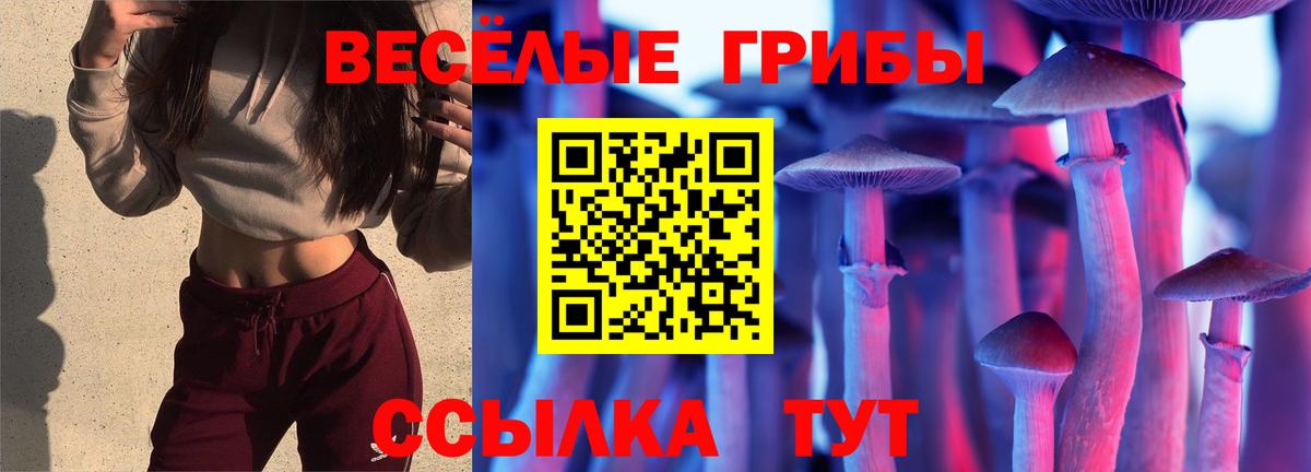 Галлюциногенные грибы прущие грибы  Бийск 