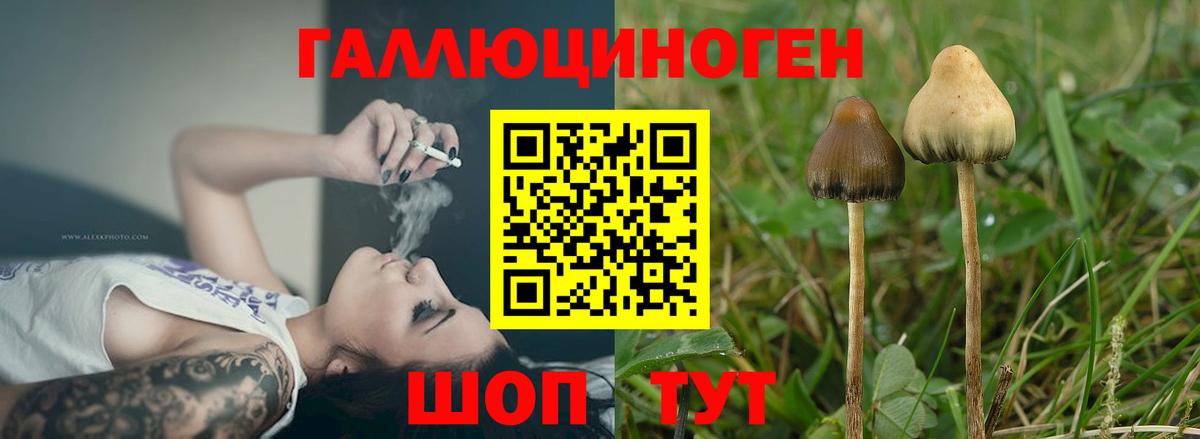 ГАШ  Марихуана  Меф МЯУ МЯУ   Бийск  Вход с VPN 