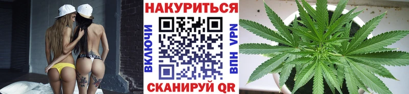 продажа наркотиков  hydra сайт  Шишки марихуана OG Kush  Бийск 